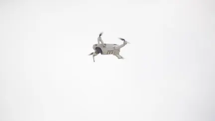 Casino Kings Chance App Mobile